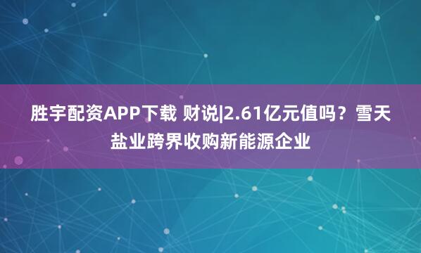 胜宇配资APP下载 财说|2.61亿元值吗？雪天盐业跨界收购新能源企业
